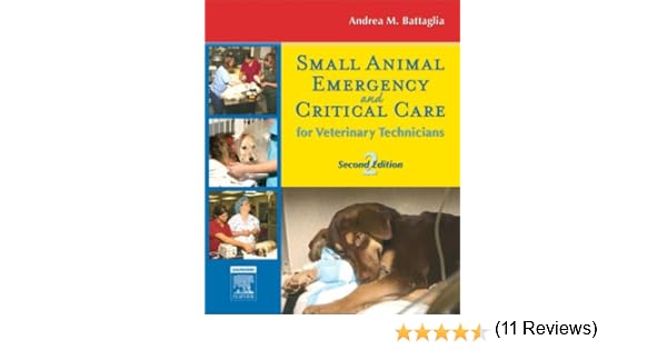 Andrea M Battaglia LVT